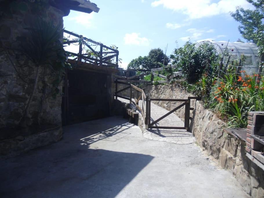 EaCasa Con Jardin Y Terraza Privados, Cerca Del Mar别墅 外观 照片